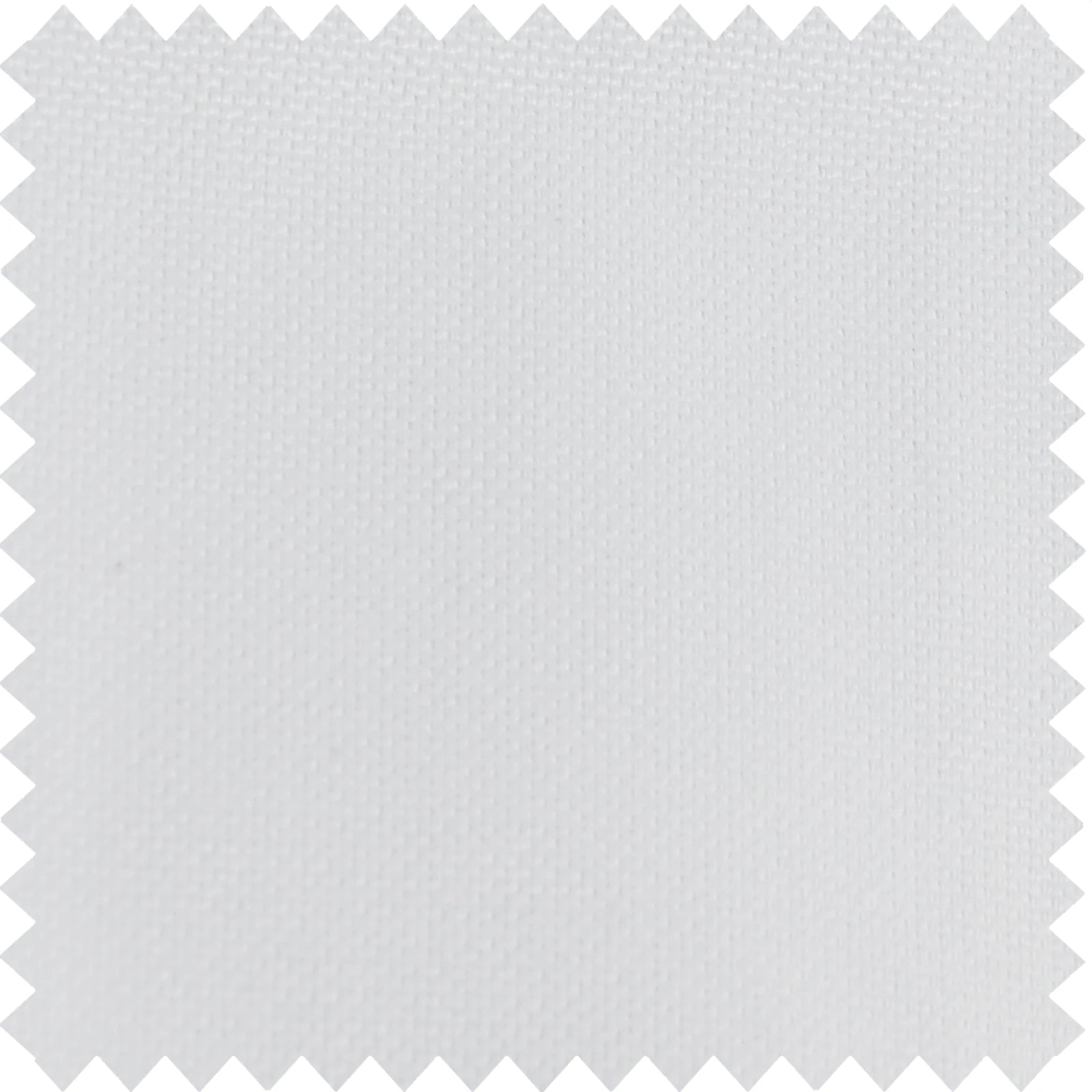 Gavin-1 White