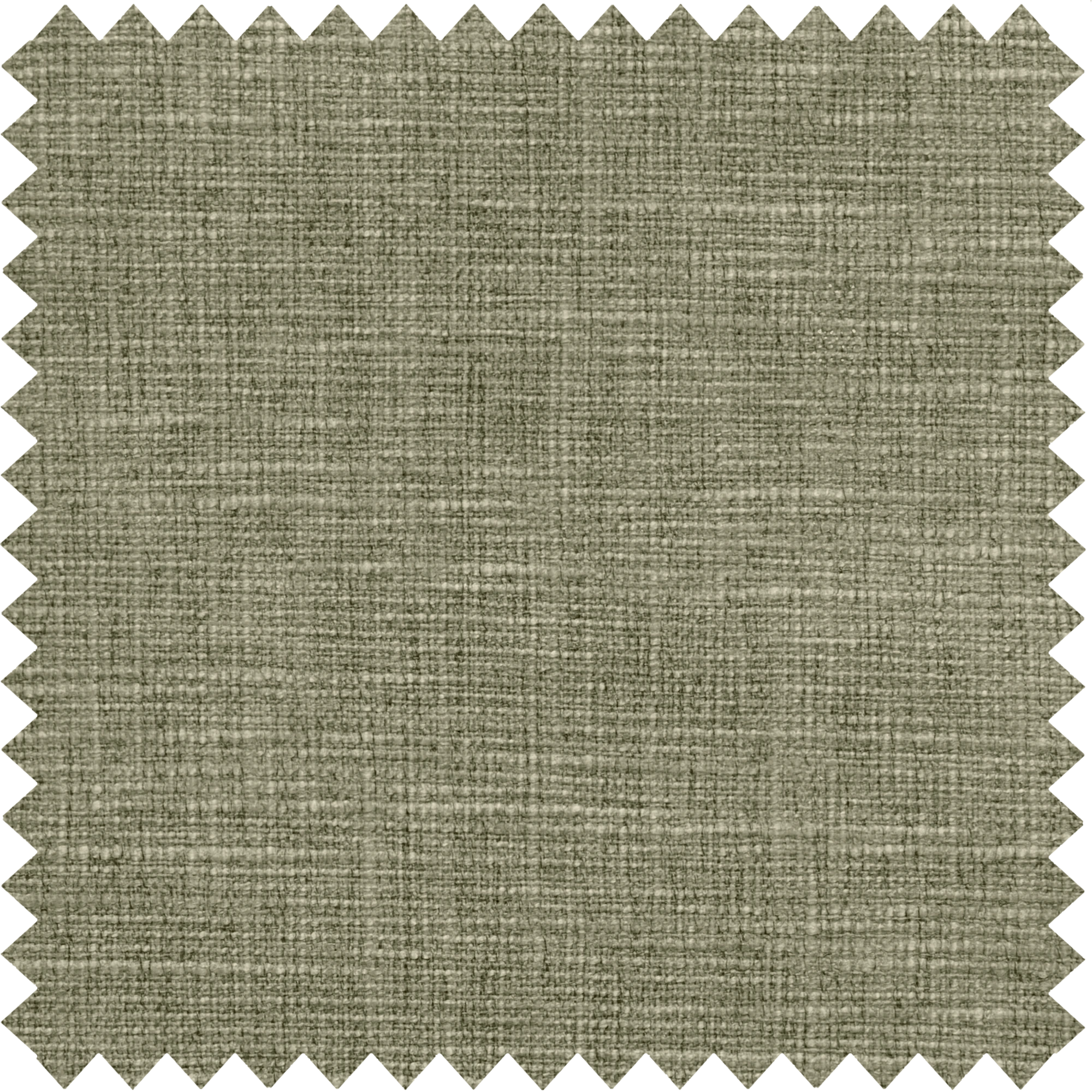 Light Coffee Swatches