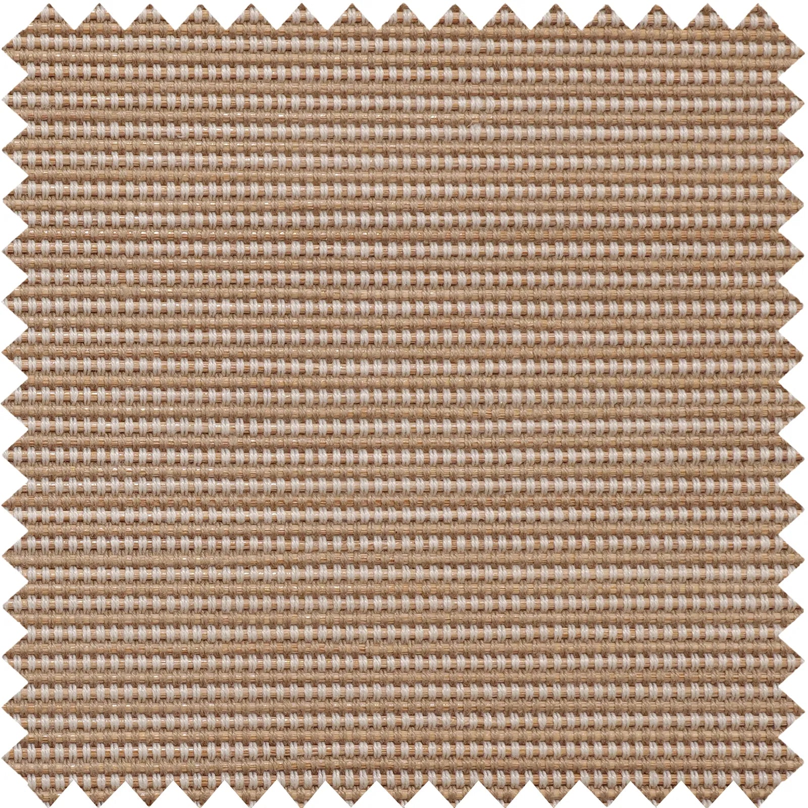 Nico-1 Light Brown