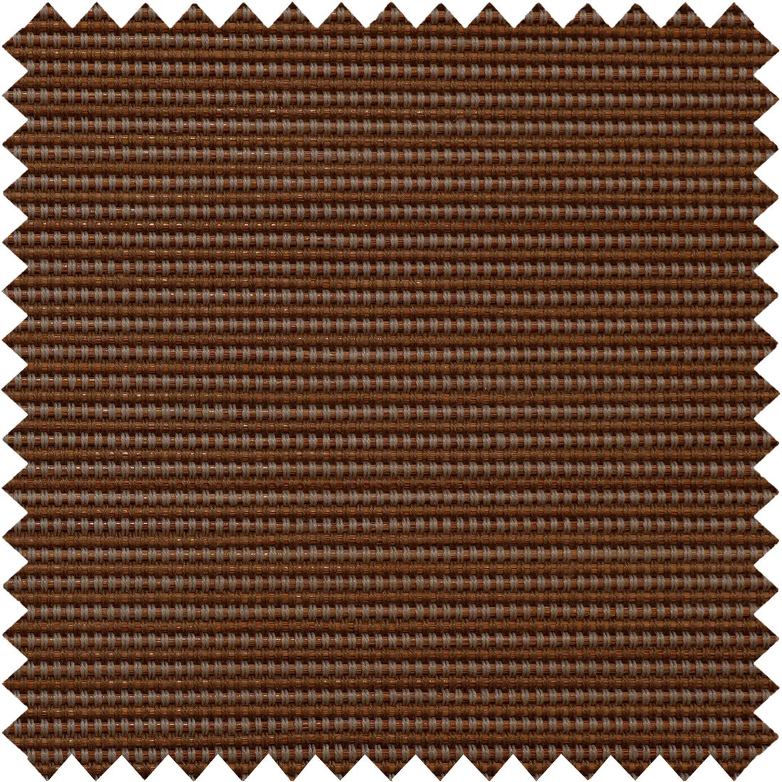 Nico-2 Brown