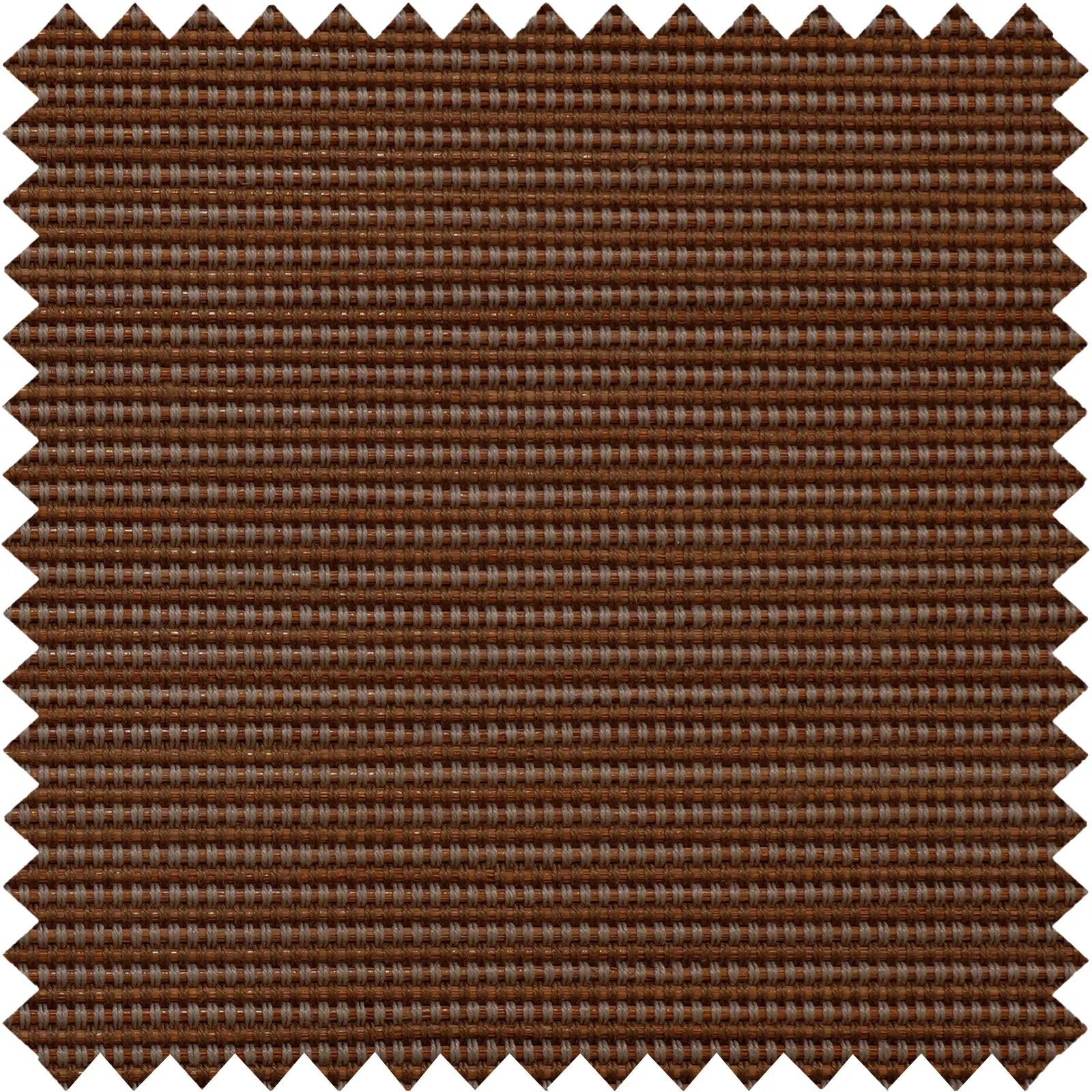 Nico-2 Brown