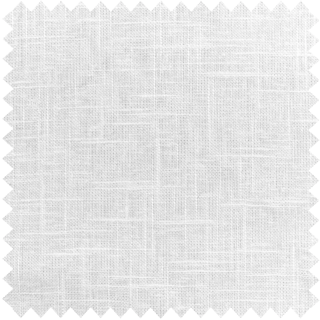 Fern-1 White