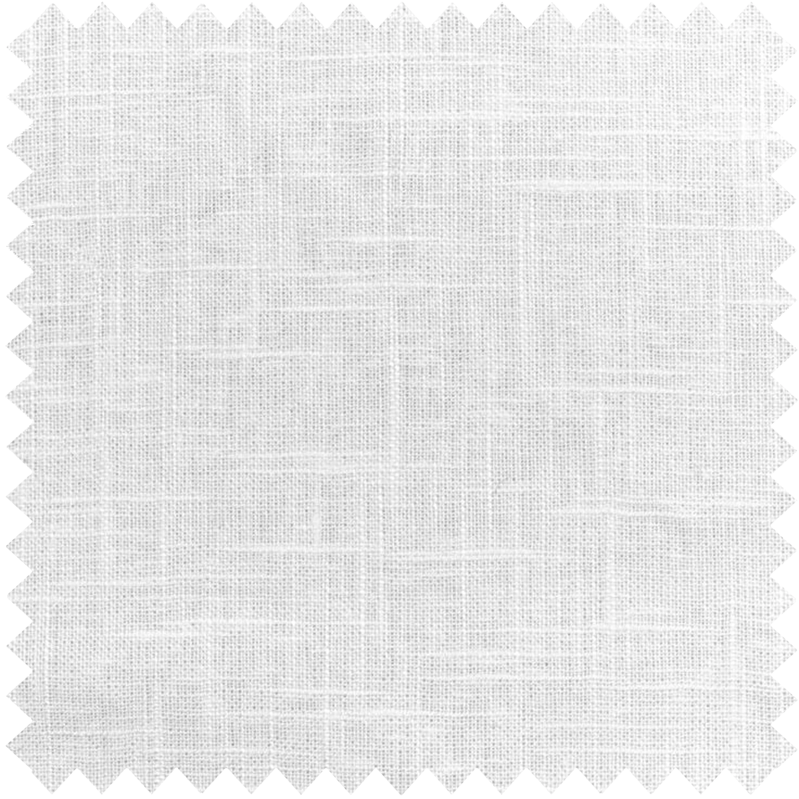Fern-1 White