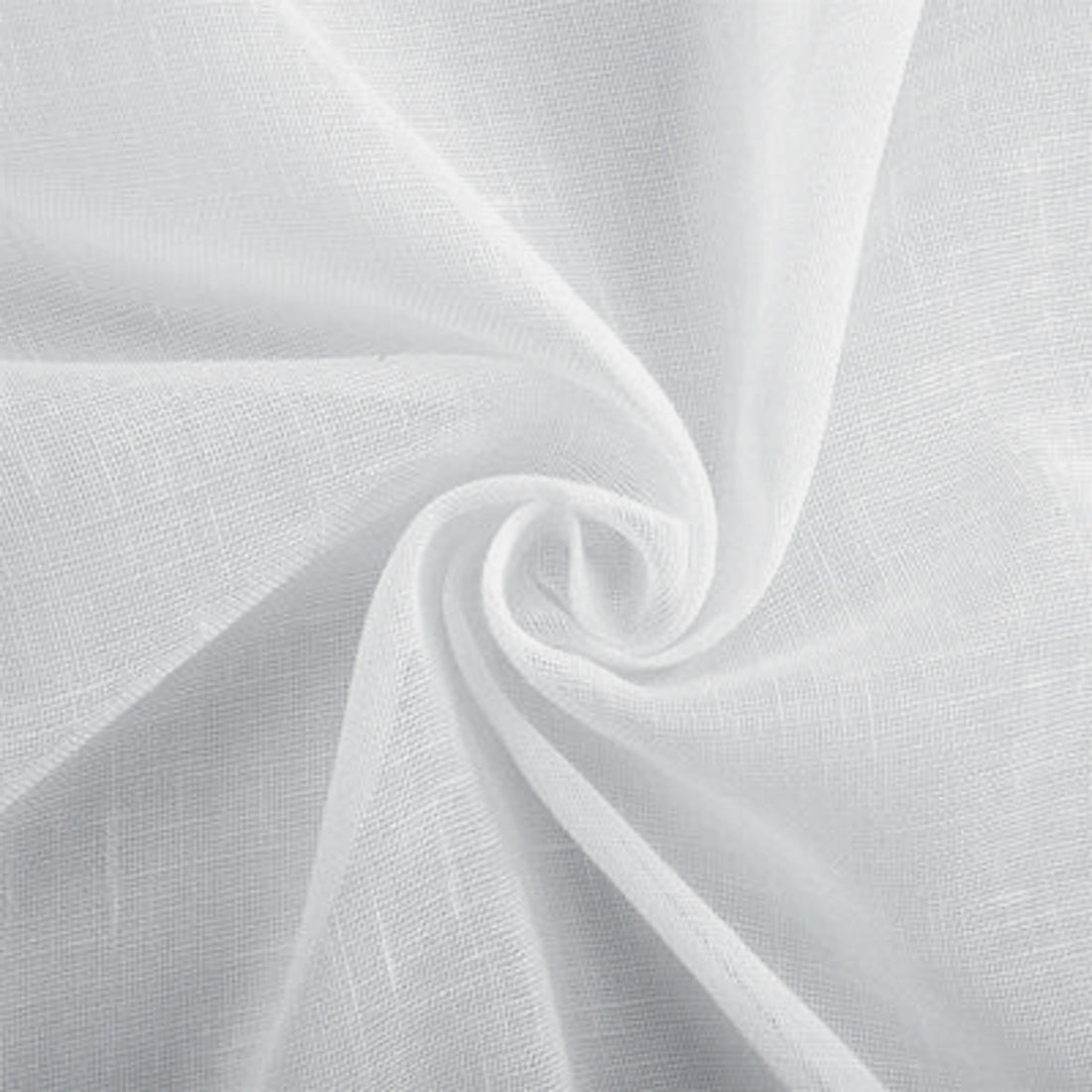 Fern-1 White