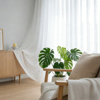 Fern-1 White