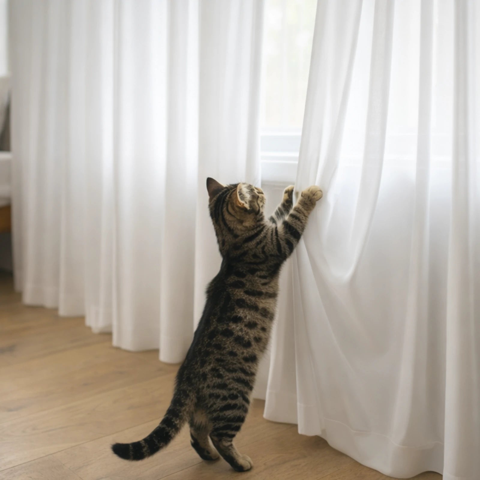 Lola curtains display1