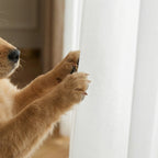 Lola curtains display2