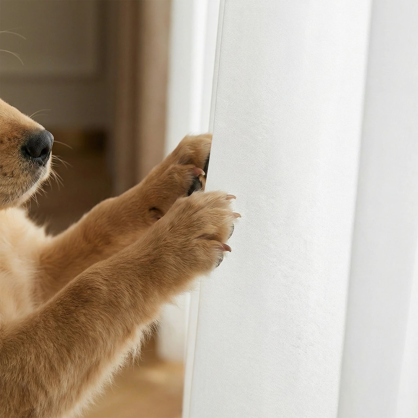 Lola curtains display2